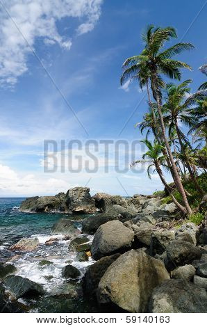 Wild Colombian Caribbean Coast Near Capurgana