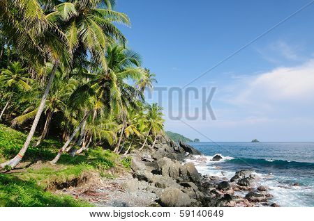Wild Colombian Caribbean Coast Near Capurgana