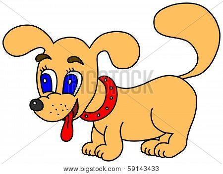 Little dog with tongue out