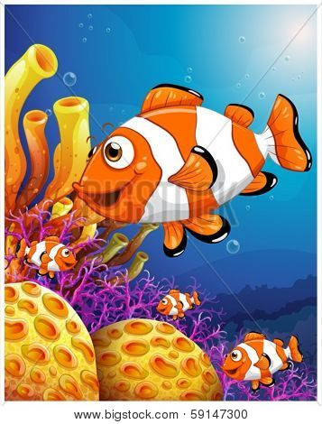 Illustration of a school of fish near the beautiful coral reefs on a white background