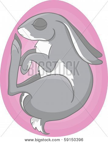 Bunny In Pink Egg