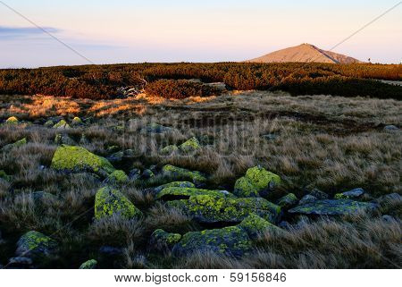 Evening View Of Mount Snezka - Top Of National Park Krkonose Giant Mountains - Czech Republic