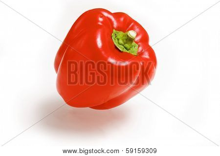 Red paprika on white background 