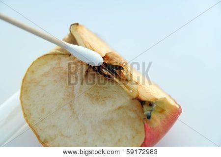 Food sample