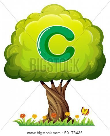 Illustration of a tree with a letter C on a white background