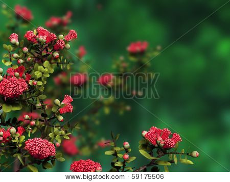 Ohia Lehua 3D Cg
