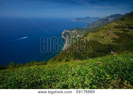 Cinque Terre National Park, View to Corniglia town from mountain at sunny day. Italy