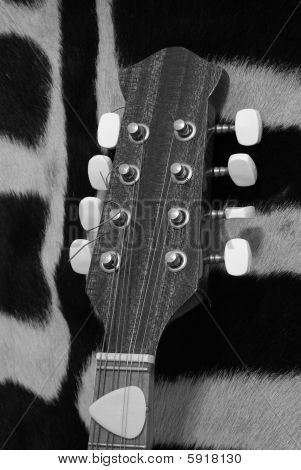 Cabeçote de bandolim guitarra preto e branco