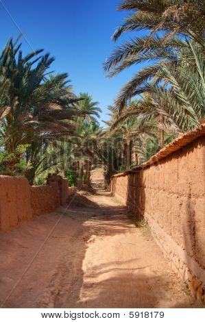 Patika Palm Grove