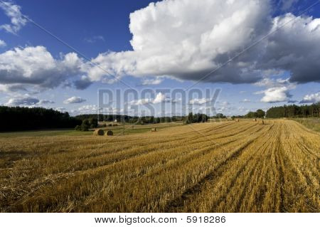Paisaje campestre