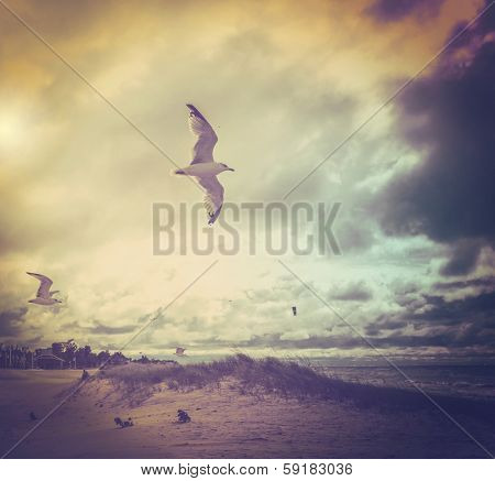Stormy day 