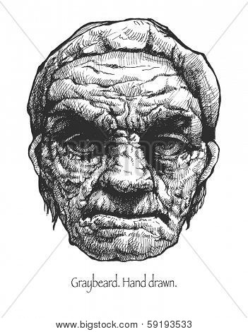 Greybeard. Hand drawn. Vector eps 8.