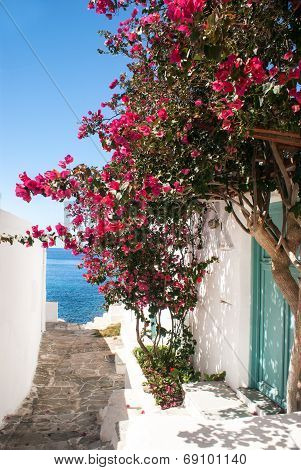 Traditional Greek Alley On Sifnos Island, Greece
