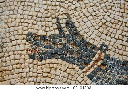 Mosaic Dog Detail