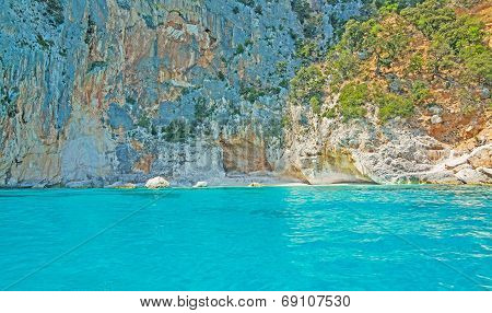Rocky Shore