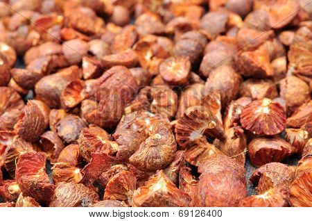 Dried Betel Nut Or Areca Nut