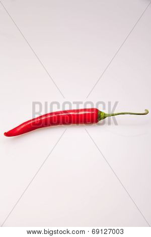 Red chili pepper