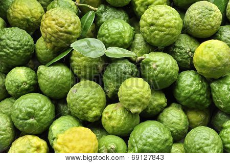 Kaffir Limes