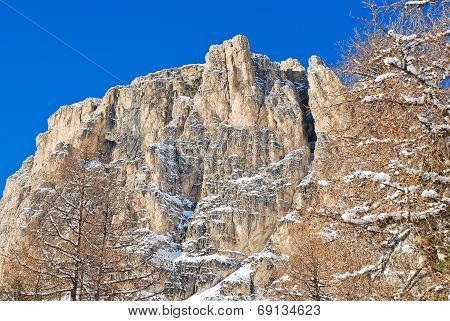 Bare Tree And Rock In Dolomites Mountain