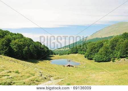 Green Meadow In Monte Baldo Mountains