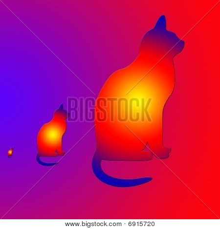 Gatti