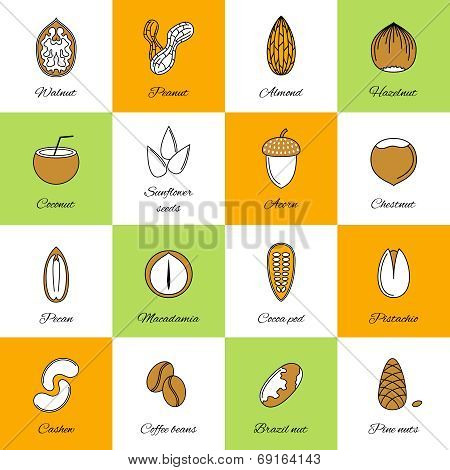 Set of nuts icons