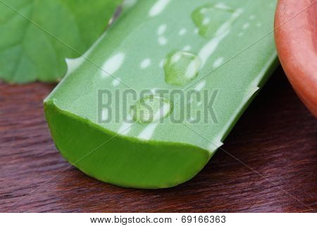 Aloe With Medicinal Thankuni Leaves