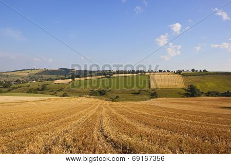 Patchwork Harvest Landscape