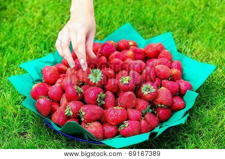 Female Hand Reaches To A Dish Of Strawberries Standing On The Grass. Summer Vacation Concept.