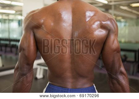 Rear View Shirtless Image & Photo (Free Trial) | Bigstock