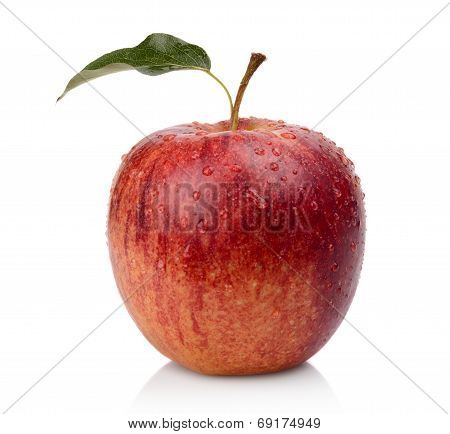 Studio Shot Of Whole Wet Red Apple Isolated