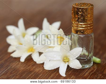 Tuberose Or Rajnigandha Of Southeast Asia
