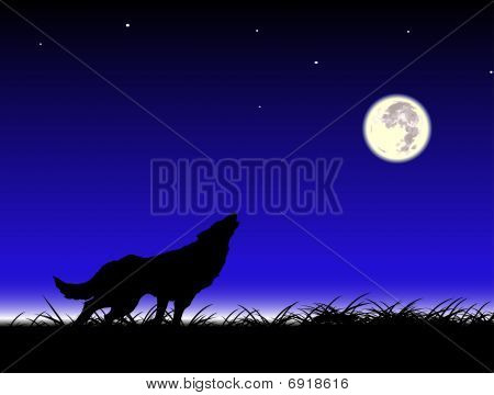 Wolf und Mond