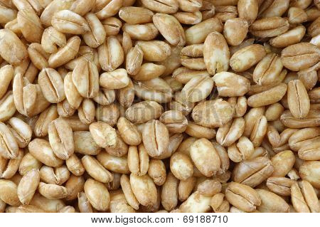 farro grain background
