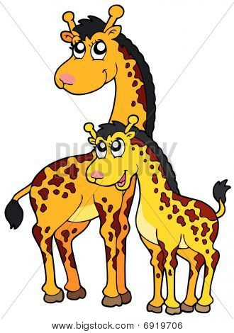 Femminile e baby giraffe