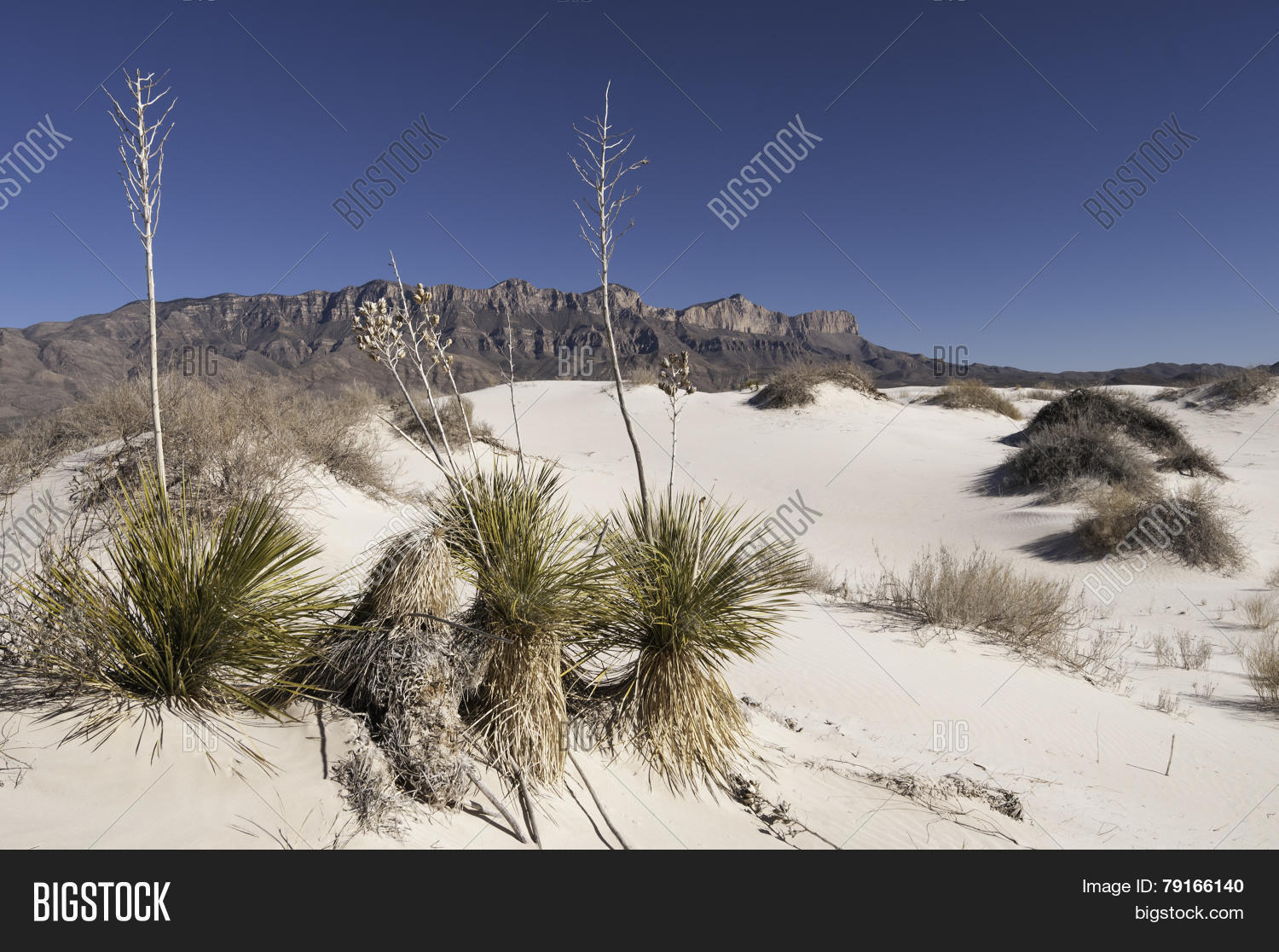 Salt Basin Dunes Image & Photo (Free Trial) | Bigstock