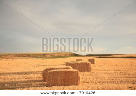 Stroh Bälle