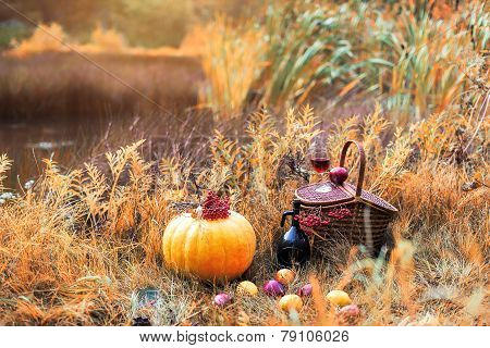 Autumn picnic