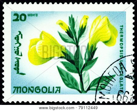 Vintage  Postage Stamp. The Flowerses Thermopsis Lanceolata.