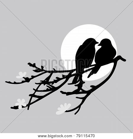 Two Birds