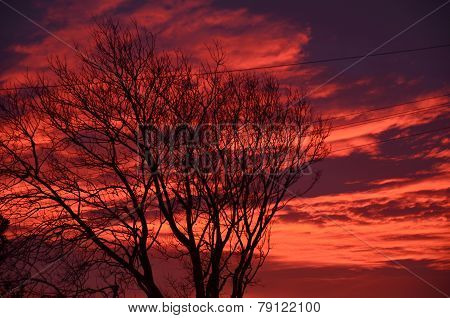 Dawn