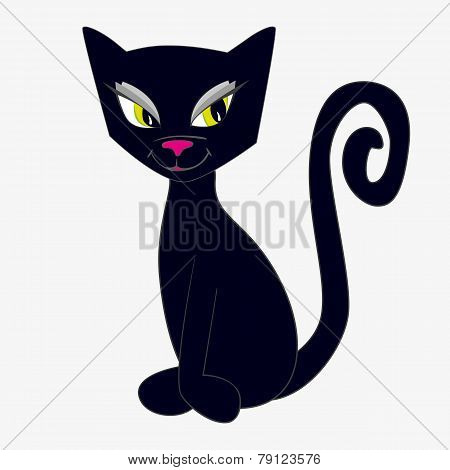 Black Cat