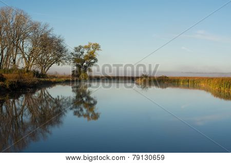 Marsh