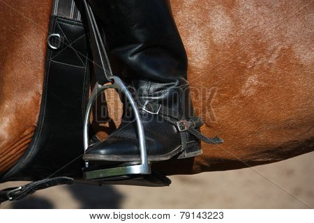 Close Up Of Rider Leg With Spur In Stirrup