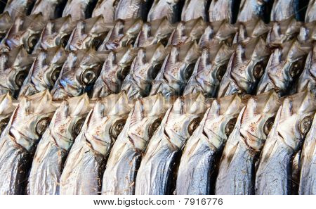 Pescado seco de la japonesa Shishamo Smelt ensartada en líneas.