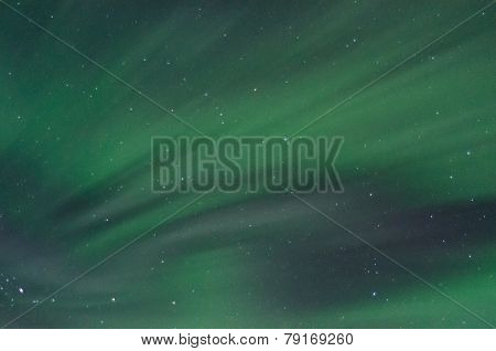 Field Of Green Aurora