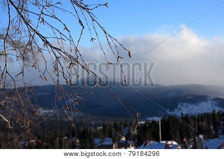 Mountain landscape.