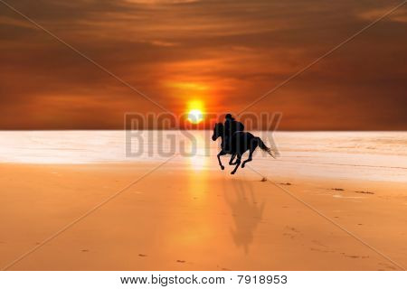 รูปเงาดำของม้าและไรเดอร์ Galloping