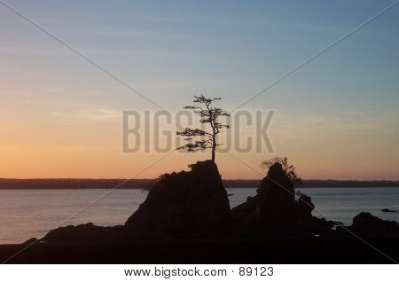 Beach Sunset