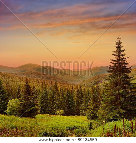 Beautiful sunrise in the mountains
